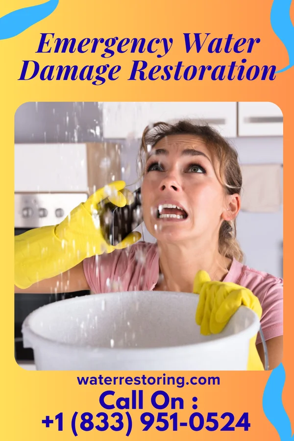 Emergency Water Damage Restoration in Lowden, IA